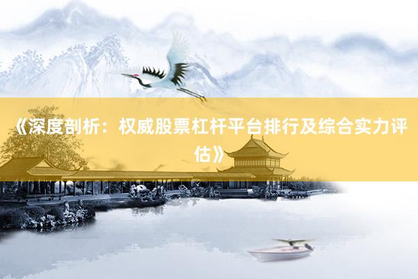 《深度剖析：权威股票杠杆平台排行及综合实力评估》