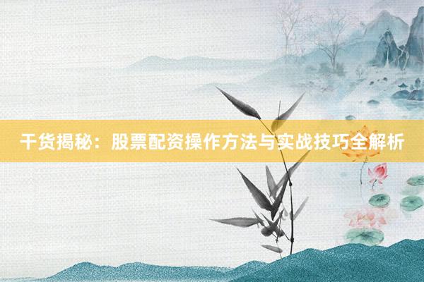 干货揭秘：股票配资操作方法与实战技巧全解析