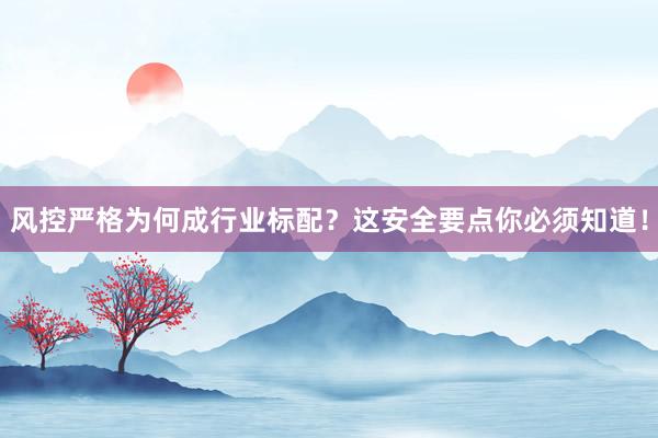 风控严格为何成行业标配?这安全要点你必须知道!